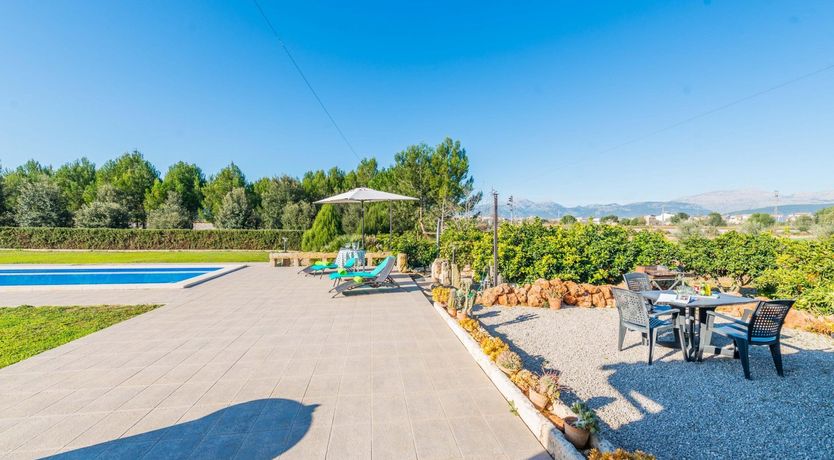 Photo of Summer Oranges