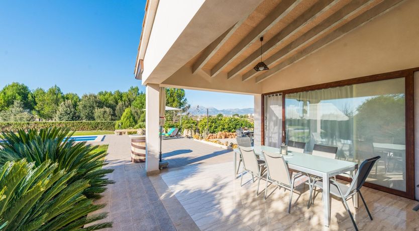 Photo of Summer Oranges