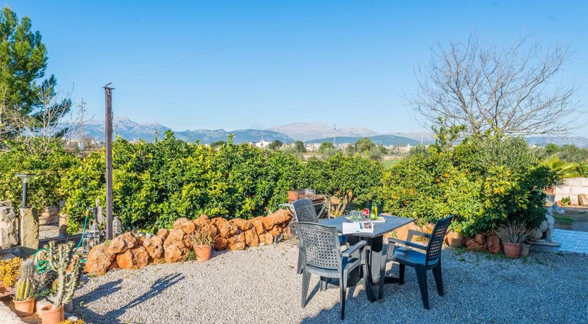 Photo of Summer Oranges