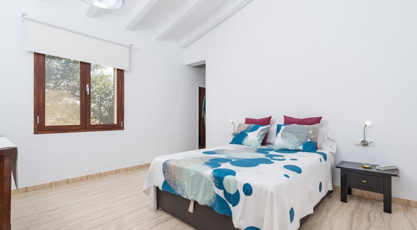 Photo of Summer Oranges