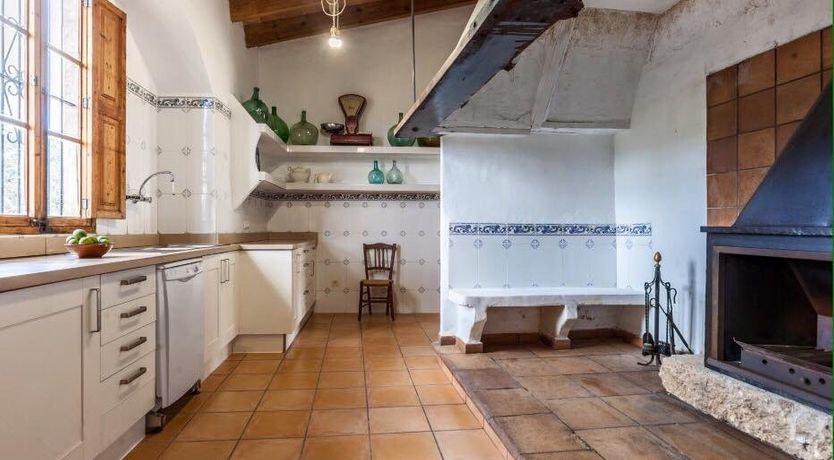 Photo of Needle In The Hay