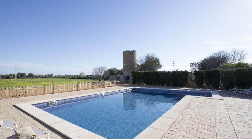 Photo of Needle In The Hay