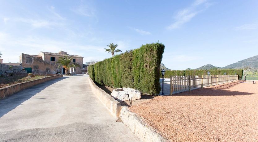 Photo of Needle In The Hay