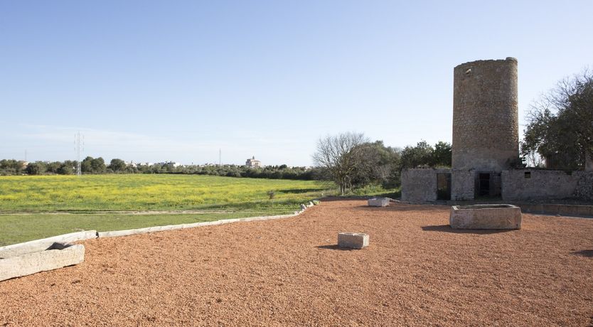 Photo of Needle In The Hay