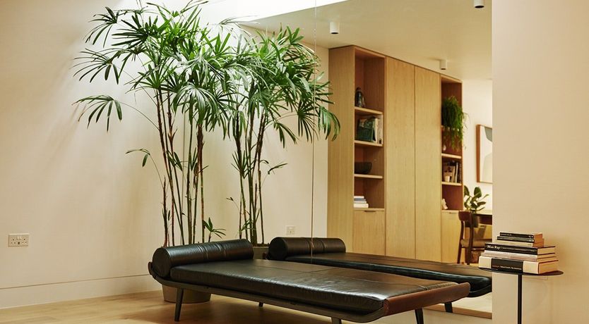 Photo of Follow the Dawn