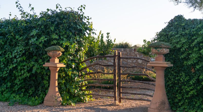 Photo of Oasis Labyrinth