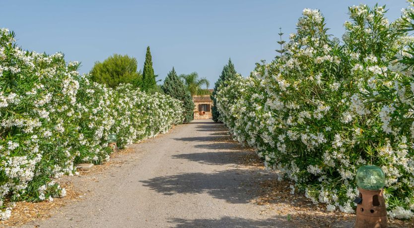 Photo of Oasis Labyrinth