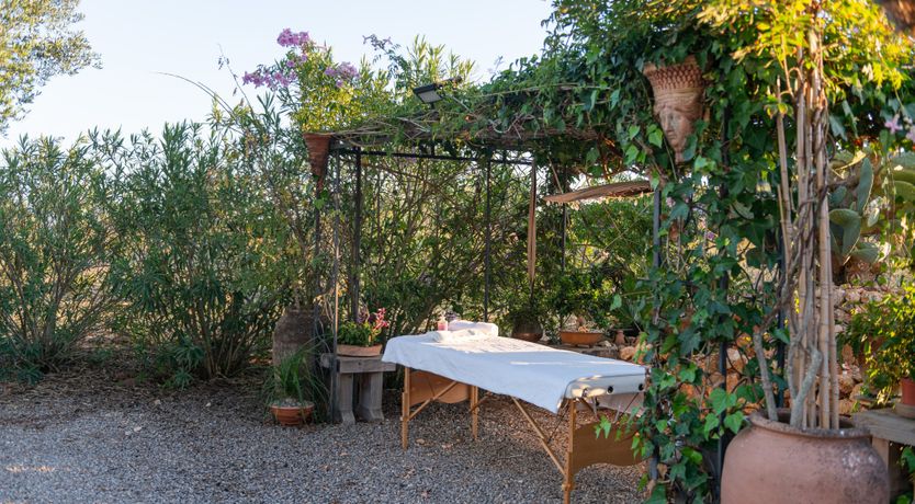 Photo of Oasis Labyrinth