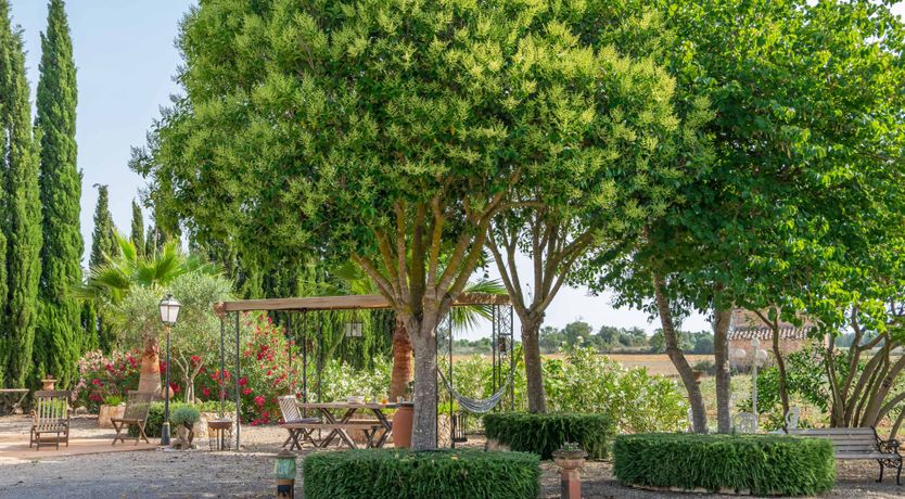 Photo of Oasis Labyrinth