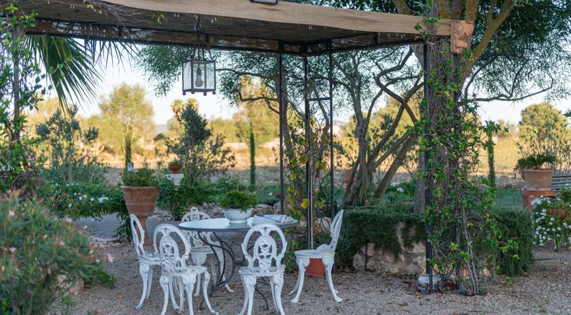 Photo of Oasis Labyrinth