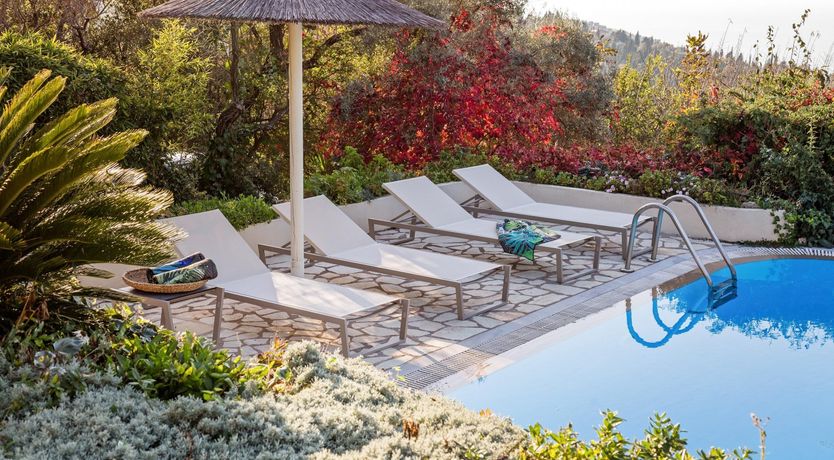 Photo of Jasmine Flower