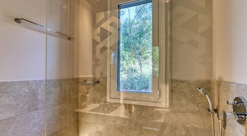 Photo of Jasmine Flower