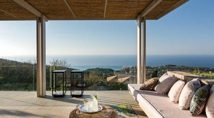 Photo of Jasmine Flower