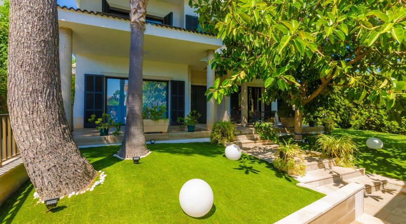 Photo of Gaze Into Cyan