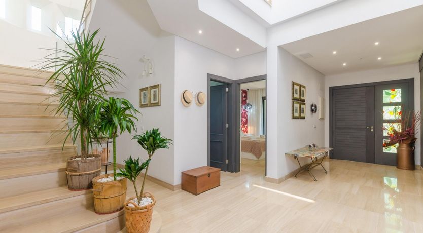 Photo of Gaze Into Cyan