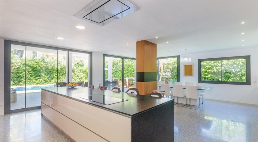 Photo of Gaze Into Cyan