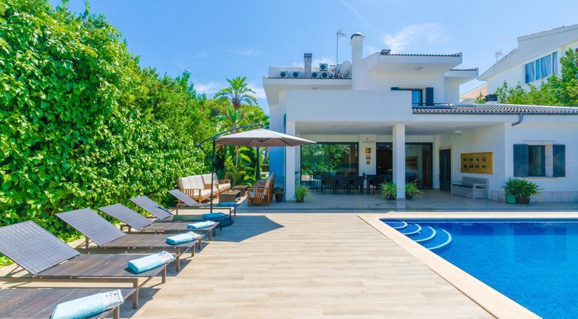 Photo of Gaze Into Cyan