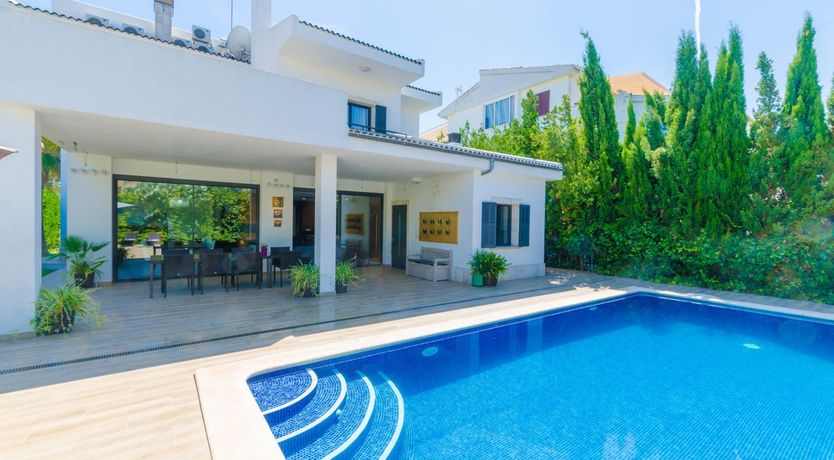 Photo of Gaze Into Cyan