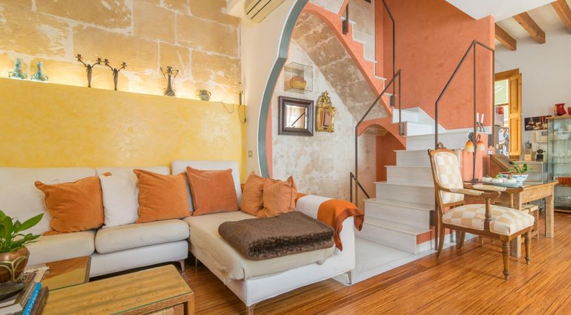 Photo of Cabinet of Curiosities