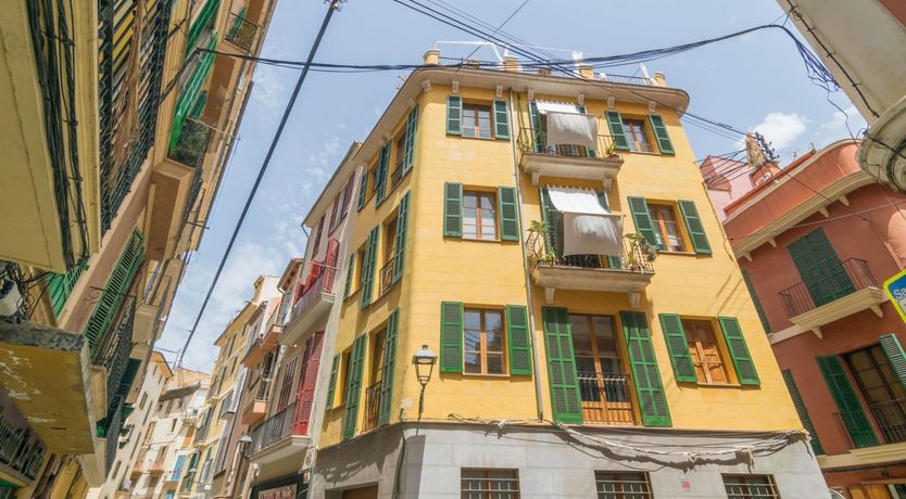 Photo of Cabinet of Curiosities