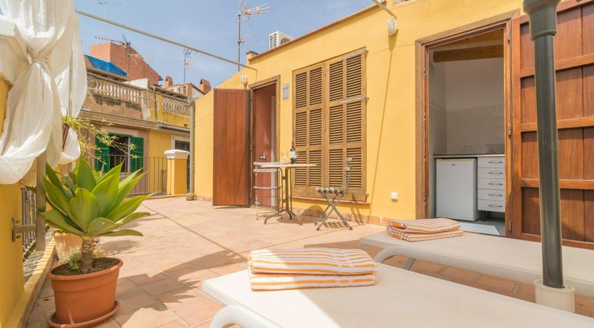 Photo of Cabinet of Curiosities