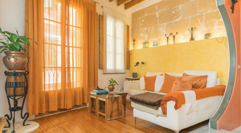 Photo of Cabinet of Curiosities