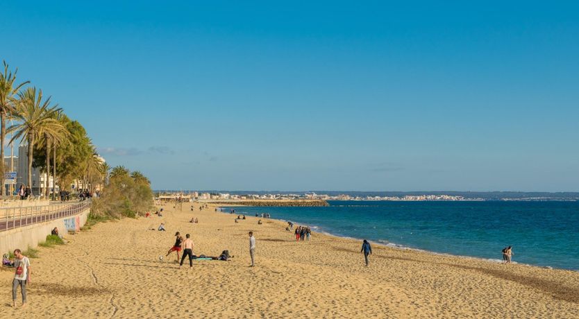 Photo of Cabinet of Curiosities