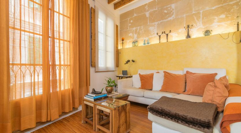 Photo of Cabinet of Curiosities