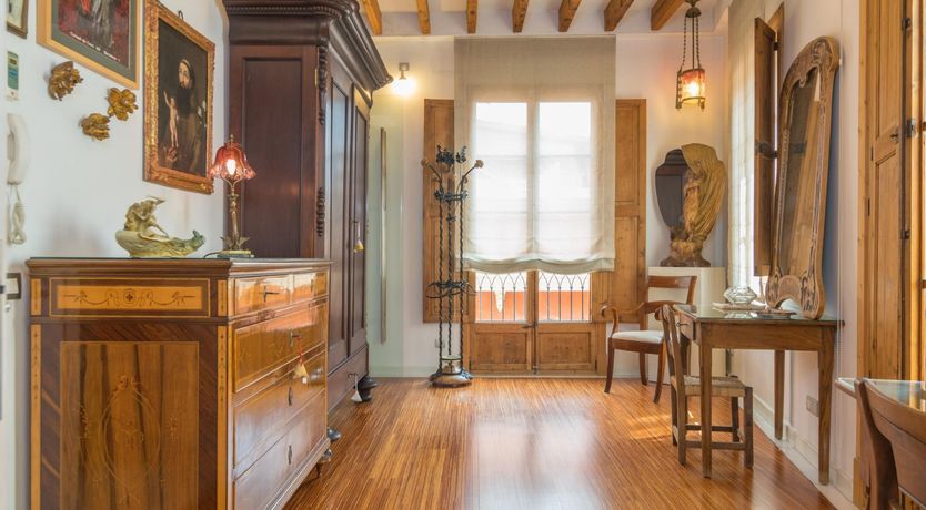 Photo of Cabinet of Curiosities