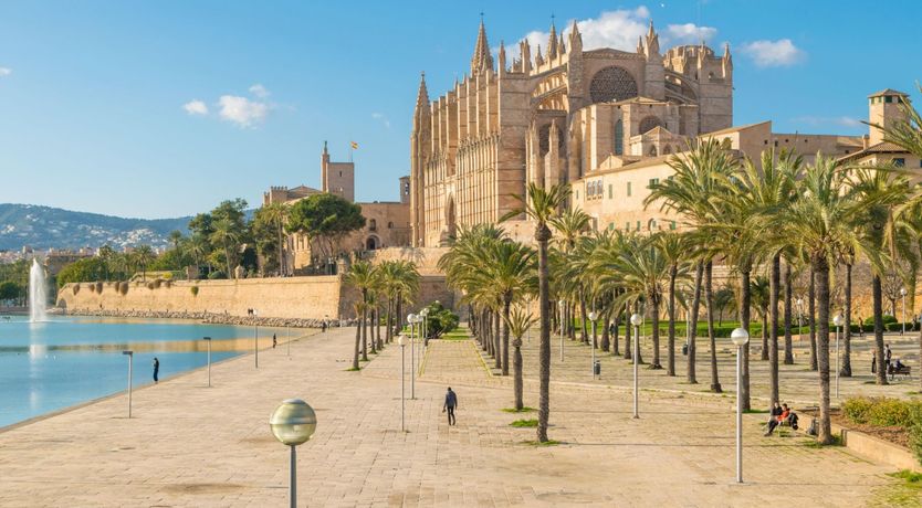 Photo of Cabinet of Curiosities