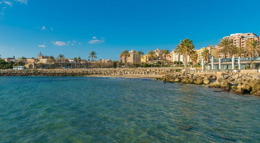 Photo of Cabinet of Curiosities