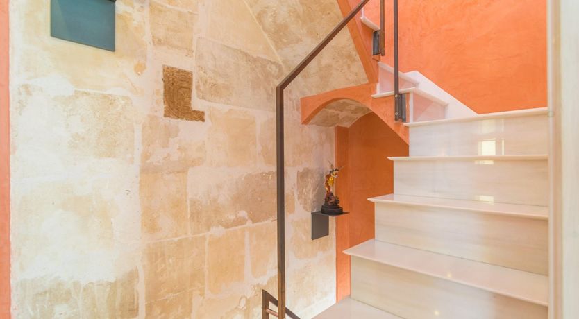 Photo of Cabinet of Curiosities