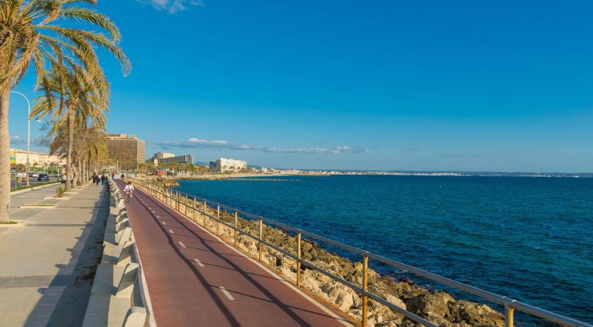 Photo of Cabinet of Curiosities