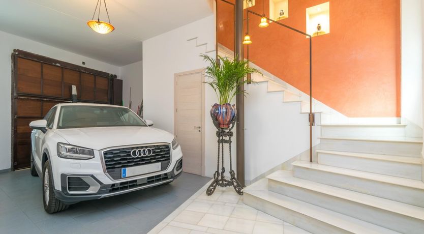 Photo of Cabinet of Curiosities