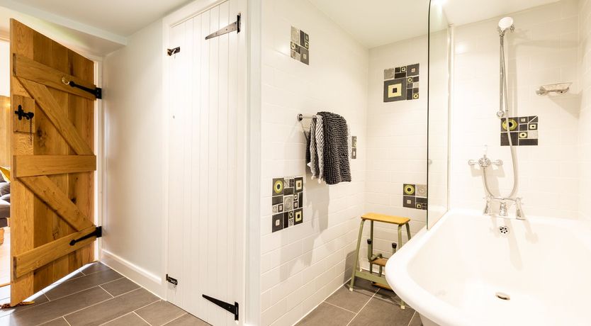 Photo of Wild Angels