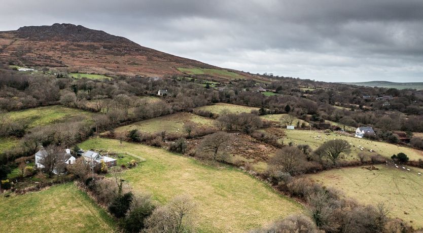 Photo of Wild Angels