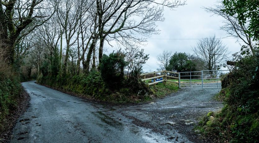 Photo of Wild Angels