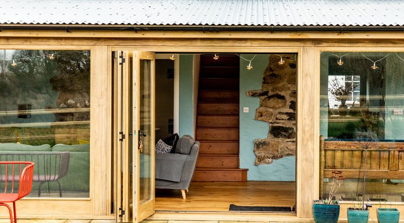 Photo of Wild Angels