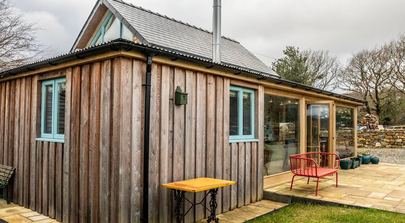 Photo of Wild Angels