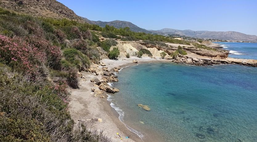 Photo of Arokaria Adagio