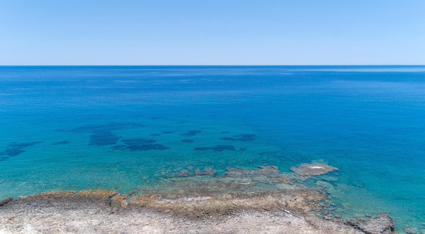 Photo of Arokaria Adagio