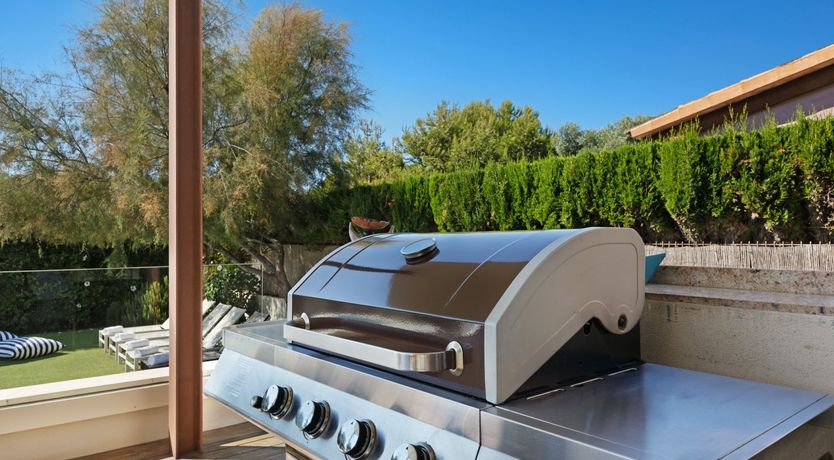 Photo of Palma Nirvana