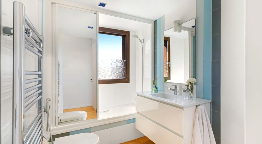 Photo of Palma Nirvana