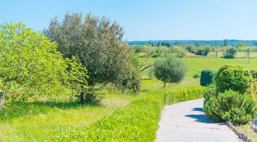 Photo of Sunbeams On Stone