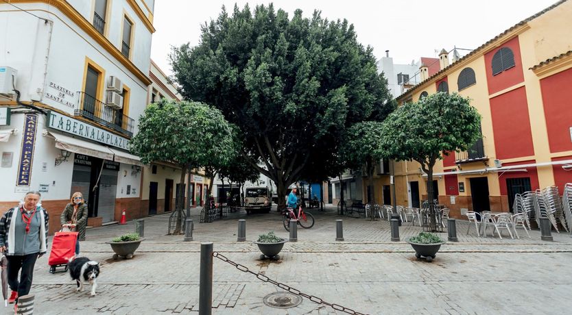 Photo of Russet & Filigree