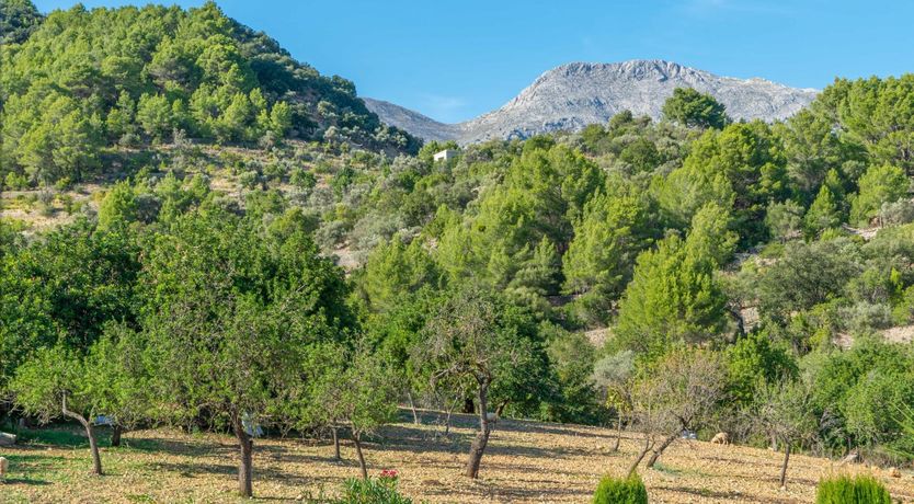 Photo of Villa Verde