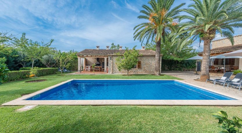 Photo of A Feast For The Eyes