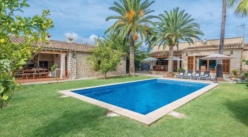 Photo of A Feast For The Eyes