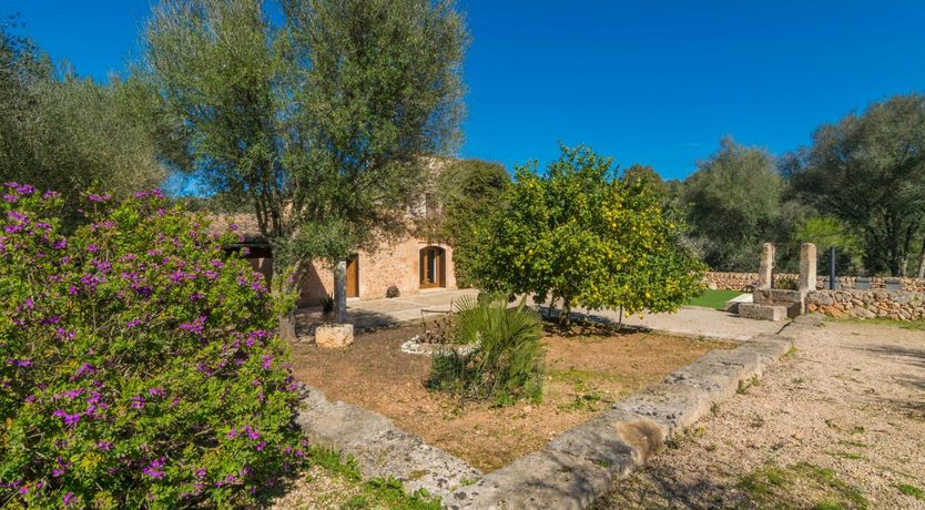 Photo of Sweet Orange Solitude