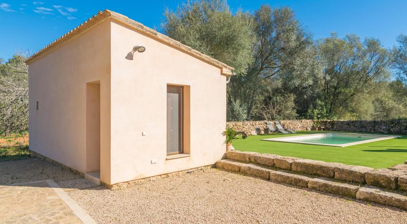 Photo of Sweet Orange Solitude